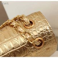 Chanel Women Mini Flap Bag in Metallic Crocodile Embossed Calfskin Leather-Gold (1)