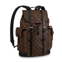 Louis Vuitton LV Men Christopher PM Backpack in Monogram Canvas-Brown (1)