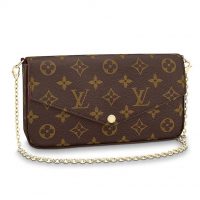 Louis Vuitton LV Women Félicie Pochette in Monogram Canvas-Brown (9)