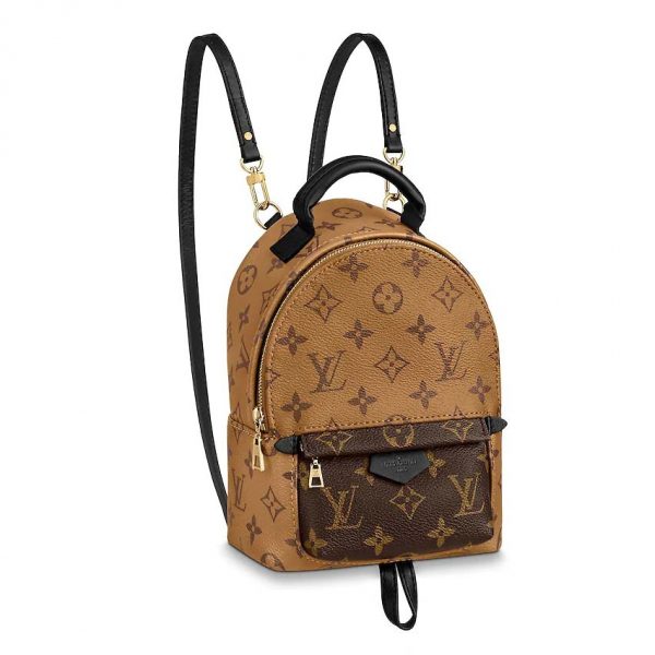 Louis Vuitton LV Women Palm Springs Mini in Monogram Reverse Coated Canvas-Brown (7)