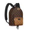 Louis Vuitton LV Women Palm Springs PM Backpack in Monogram Reverse Coated Canvas-Brown