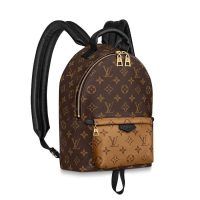 Louis Vuitton LV Women Palm Springs PM Backpack in Monogram Reverse Coated Canvas-Brown (1)