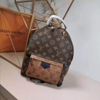 Louis Vuitton LV Women Palm Springs PM Backpack in Monogram Reverse Coated Canvas-Brown (1)