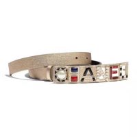 Chanel Women Goatskin & Gold-Tone Metal Belt-Gold (1)