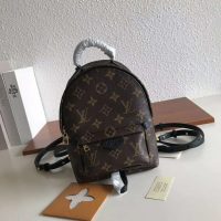 Louis Vuitton LV Unisex Palm Springs Backpack Mini in Monogram Coated Canvas-Brown (1)