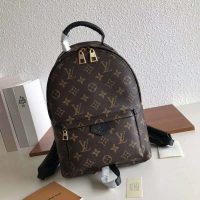 Louis Vuitton LV Unisex Palm Springs PM Backpack in Monogram Coated Canvas-Brown (1)
