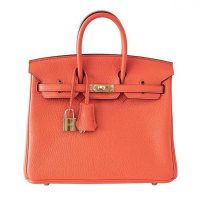 Hermes Birkin 25 Bag in Togo Leather with Gold Hardware 1