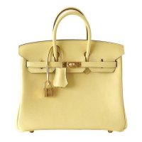 Hermes Birkin 25 Bag in Togo Leather with Gold Hardware 1