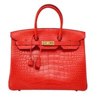 Hermes Birkin 30 Bag in Alligator Leather with Gold Hardware-Rose