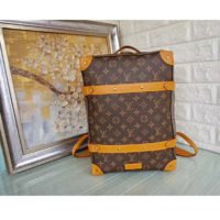 Louis Vuitton LV Unisex Soft Trunk Backpack MM Monogram Canvas