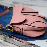 Dior Women Mini Saddle Bag in Calfskin 1