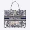 Dior Women Book Tote Blue Multicolor Dior Around the World Embroidery