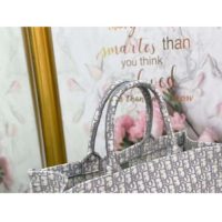 Dior Women Dior Book Tote Gray Dior Oblique Embroidery Signature