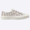 Dior Women Walk'n'Dior Sneaker Gray Dior Oblique Embroidered Cotton