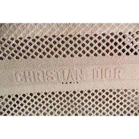 Dior Women Small Dior Book Tote Clay-Colored Mesh Embroidery