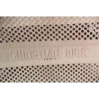 Dior Women Small Dior Book Tote Clay-Colored Mesh Embroidery