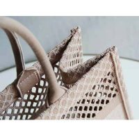 Dior Women Small Dior Book Tote Clay-Colored Mesh Embroidery