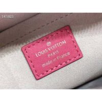 Louis Vuitton LV Unisex Troca PM Handbag Pink Damier Quilt Lambskin Calfskin