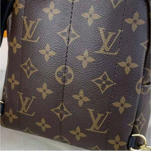 Louis Vuitton LV Women Palm Springs Mini Monogram Coated Canvas Textile Lining (1)