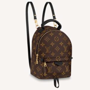 Louis Vuitton LV Women Palm Springs Mini Monogram Coated Canvas Textile Lining