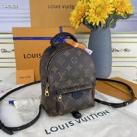 Louis Vuitton LV Women Palm Springs Mini Monogram Coated Canvas Textile Lining