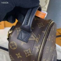 Louis Vuitton LV Women Palm Springs Mini Monogram Coated Canvas Textile Lining