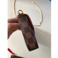 Louis Vuitton LV Women Félicie Pochette Brown Damier Ebene Coated Canvas