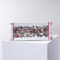 Dior Women Medium Dior Book Tote Multicolor Butterfly Embroidery (1)