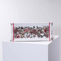 Dior Women Medium Dior Book Tote Multicolor Butterfly Embroidery (1)