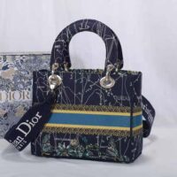 Dior Women Medium Lady D-lite Bag Latte Multicolor Dior Constellation Embroidery-blue (1)