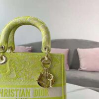 Dior Women Medium Lady D-lite Bag Lime Toile de Jouy Reverse Embroidery (1)