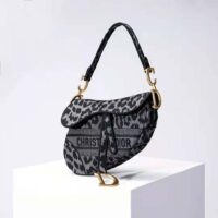 Dior Women Saddle Bag Gray Mizza Embroidery (1)