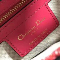 Dior Women Saddle Bag Toile DE Jouy Reverse Jacquard-Red (1)