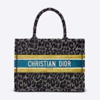 Dior Women Small Dior Book Tote Gray Mizza Embroidered Velvet (1)