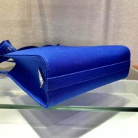 Prada Women Drill Tote Handles Bag-Blue (1)