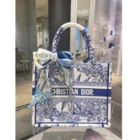 Dior Unisex CD Medium Book Tote White Blue Rêve D’Infini Embroidery (3)