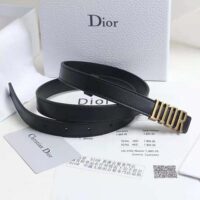 Dior Women D-Fence Belt Black Smooth Calfskin 30 MM (1)