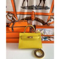 Hermes Women Mini Kelly 20 Bag Suede Leather Gold Hardware-Gold (4)