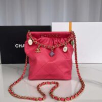 Chanel Women CC Small Bucket Bag Lambskin Resin Gold-Tone Metal Pink (1)