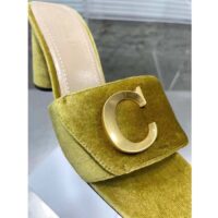 Dior Women CD C’est Dior Heeled Slide Lime Yellow Velvet 5 CM Heel (10)