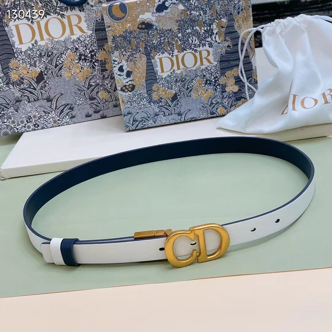 Dior Unisex CD Reversible Saddle Belt Golden Saddle Blue Latte Smooth Calfskin (5)