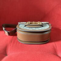 Gucci GG Women Gucci Horsebit 1955 Mini Rounded Bag Beige Ebony GG Supreme Canvas (2)