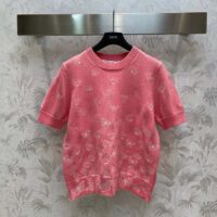 Dior Women CD Short-Sleeved Sweater Pink Wool Cashmere Knit Gradient Butterflies Motif (12)