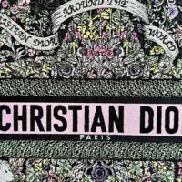 Dior Women Large Dior Book Tote Black Embroidery M1286ZEDO_M911