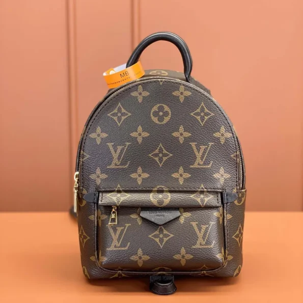 Louis Vuitton LV Women Palm Springs Mini M44873