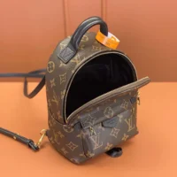 Louis Vuitton LV Women Palm Springs Mini M44873