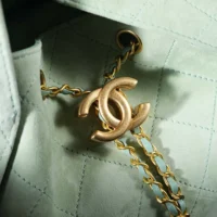 Chanel Women 25 Small Handbag Grained Calfskin Gold Tone Metal-Light Green