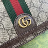 Gucci Women Ophidia Mini Bag-Brown 795466FABIA9741
