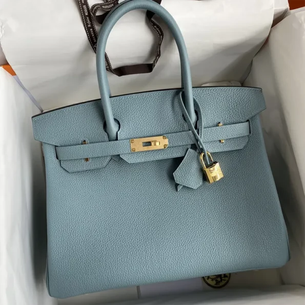 Hermes Birkin 30 Bag in Epsom Leather with Gold Hardware-Blue/Gold