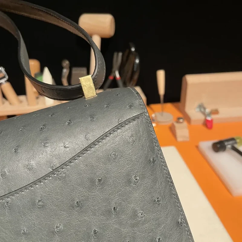 Hermes Women Constance 24 Bag Nata Ostrich Leather-Silver/Gold